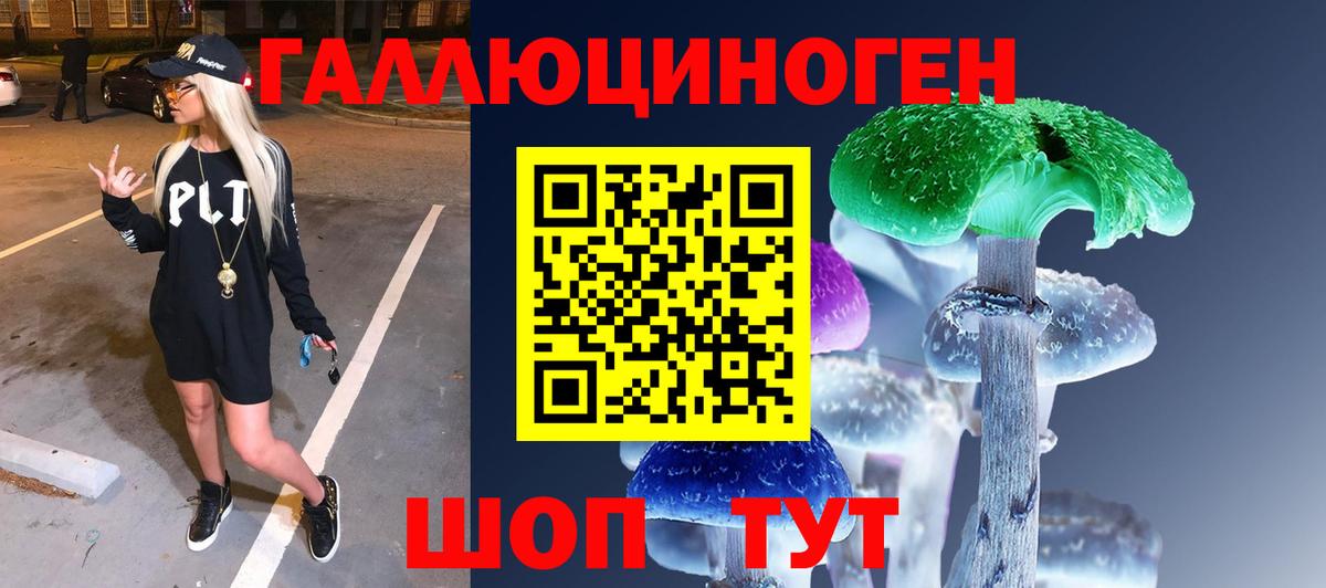 Новокуйбышевск  Галлюциногенные грибы ЛСД  Вход с VPN  где продают наркотики  Галлюциногенные грибы мухоморы 